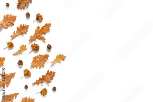 Autumn composition. Dried yellow oak leaves and flowers are on a white background. Autumn, fall, thanksgiving day concept. Flat lay, top view, copy space
