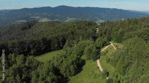 Coniferous forest in summer in Beskid Mountains at Radziejowa Range background near village Rytro, Poland