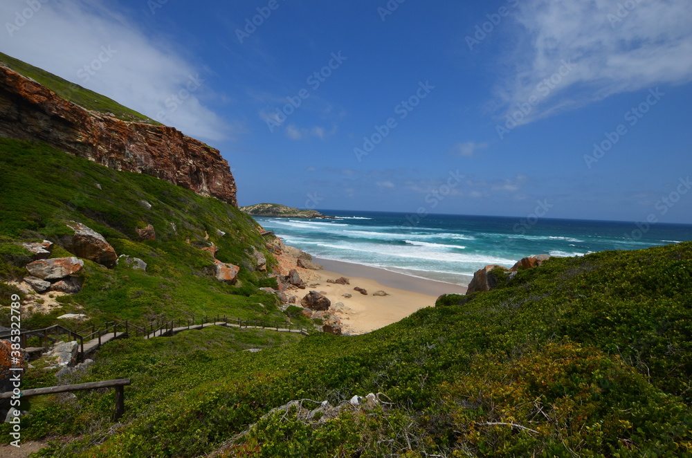 Hiking trip at garden route