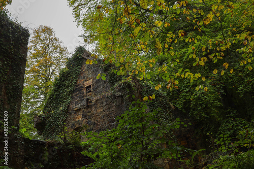 Ancient town in a forest