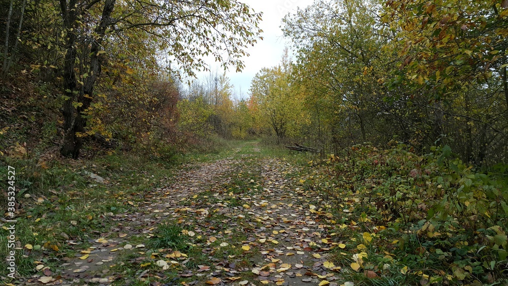 autumn autumn