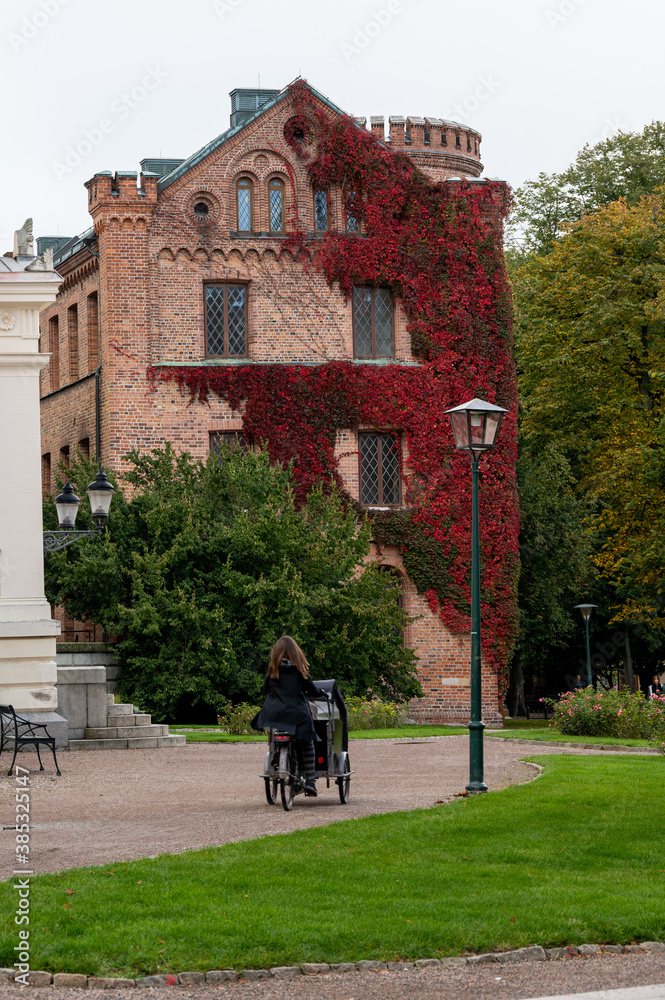 Obraz premium Woman biking through park in front of historic brick building with red ivy in fall in Lund Sweden