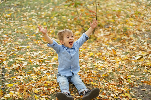  happy little boy walks in the Park