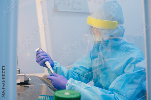 A scientist in PPE safty uniform pipetting sample experiment in biological safety cabinet (BSC).