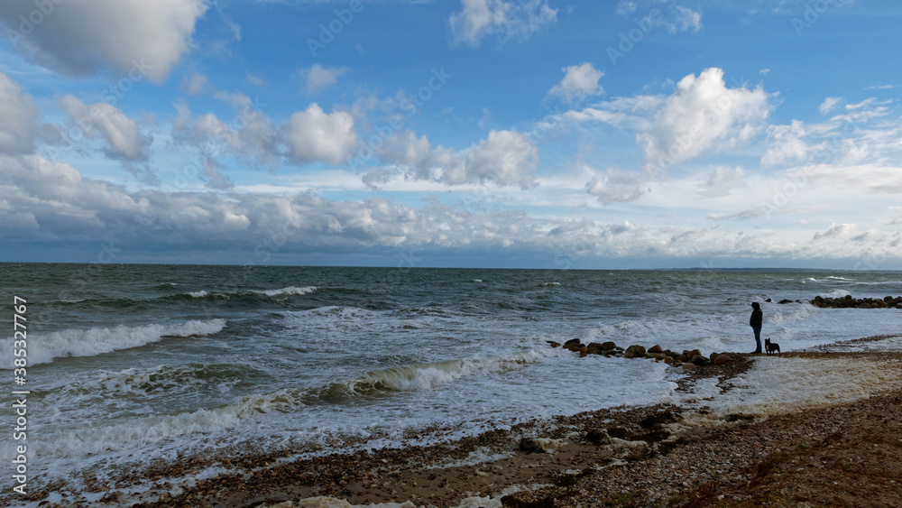 Spaziergang an der Ostsee mit Hund Spaziergang an der Ostsee mit Hund