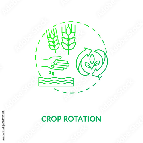 Crop rotation concept icon. Organic farming industry principles. Growing different vegetables types. Gardening idea thin line illustration. Vector isolated outline RGB color drawing