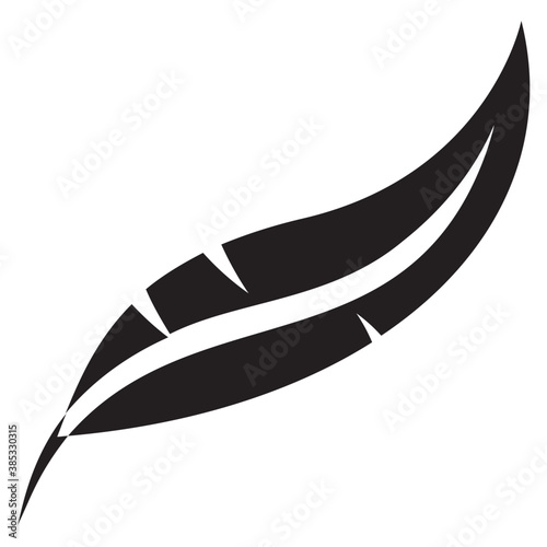 Icon of a feather of a bird depicting exotic feather

