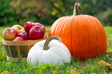fall display of apples and pumpkins in the grass on a cool fall day
