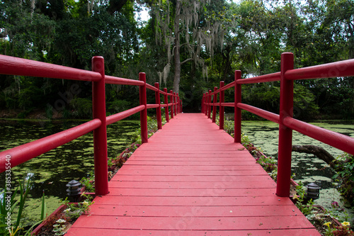 Wallpaper Mural Looking down a red footbridge that crosses a swamp garden in the Magnolia Plantation Charleston, South Carolina Torontodigital.ca