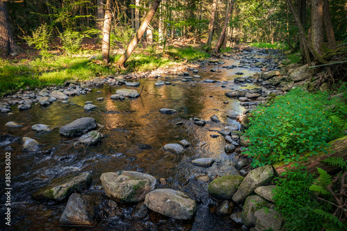 Wallpaper Mural Stream Frozen Action Torontodigital.ca