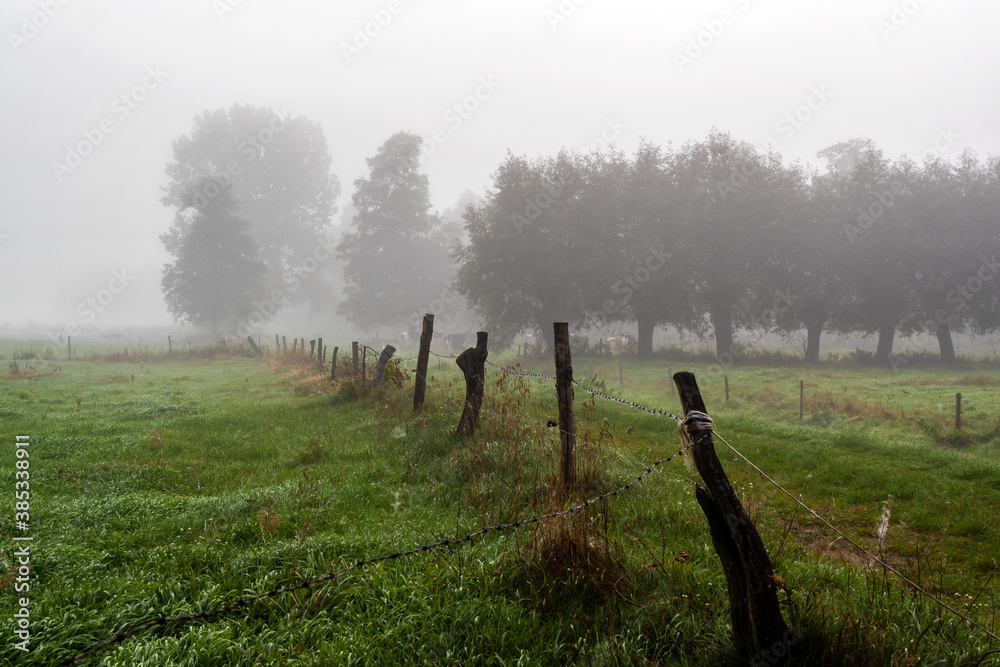 Jesienny krajobraz Doliny Narwi spowity mgłą, Podlasie, Polska