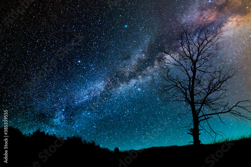 Fototapeta Naklejka Na Ścianę i Meble -  Beautiful starry sky with bright milky way galaxy. Night landscape. Dry tree on the hill on the starry sky backround.