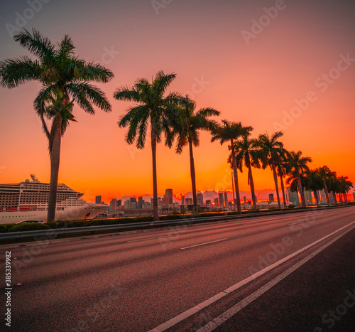 sunset in the city views miami florida usa beautiful palm colors sky orange tropical 