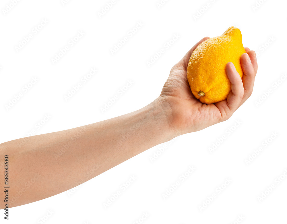 lemon in hand path isolated on white lemon in hand path isolated on white