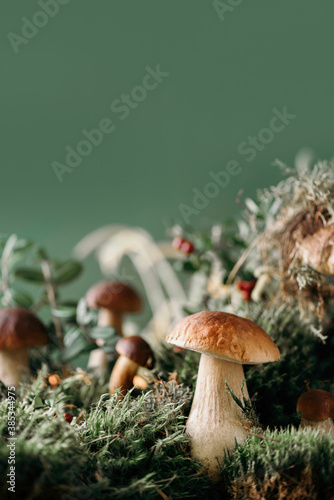 Brown boletus edulis mushroom growing in autumn green moss with red lingonberry, green grass. Autumn harvest concept. Porcini, cep mushrooms. Copy space. Organic forest food