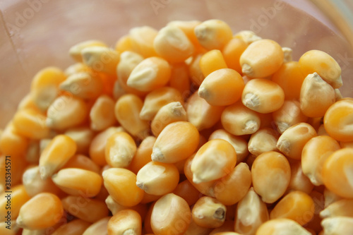 Dry Corn Kernels Texture background