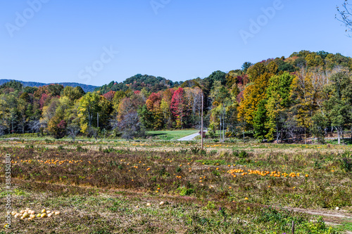 The Virginia Creeper National Recreation Trail in autumn. Abingdon, VA, USA photo