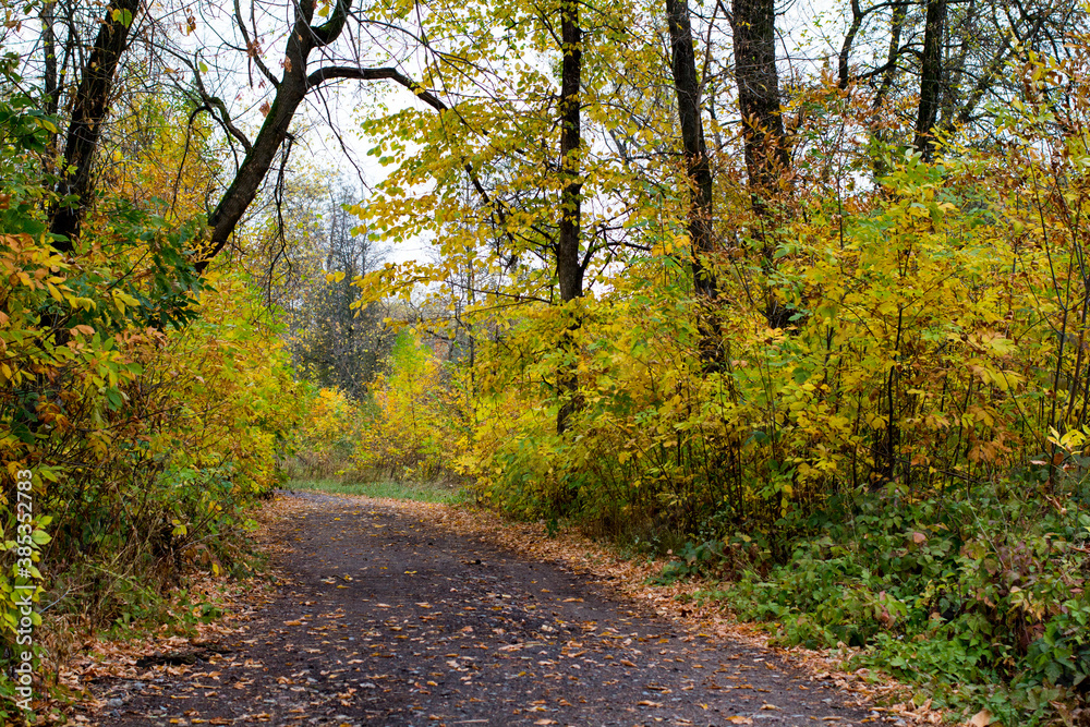 Autumn in the Russian park. path