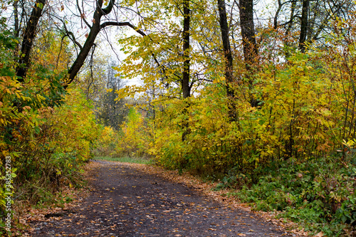 Autumn in the Russian park. path