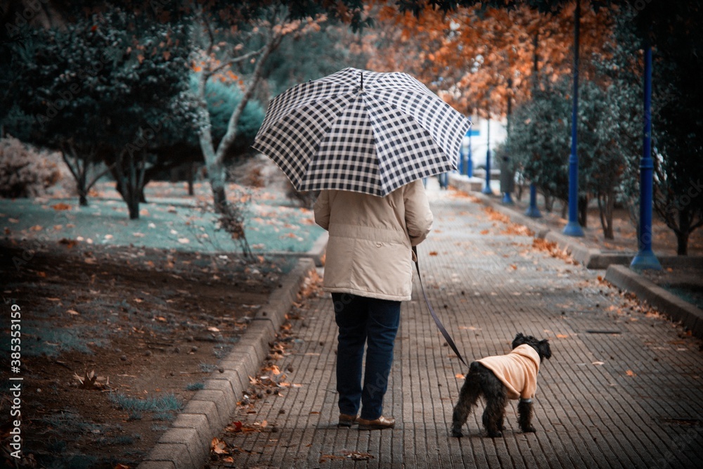woman walking with umbrella and her dog in autumn