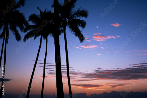 椰子の木の浜辺の夕焼け