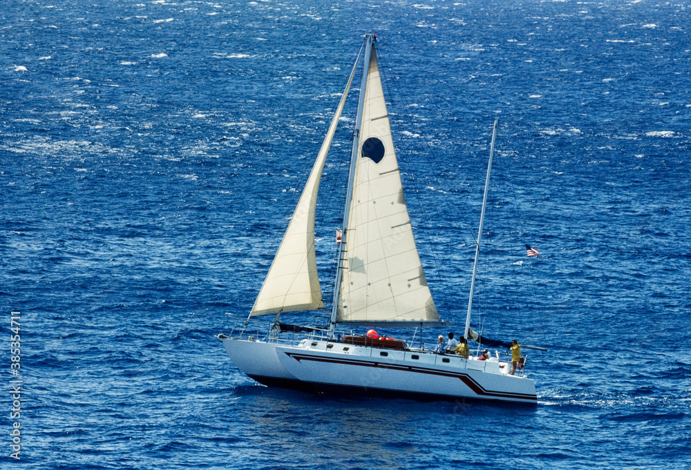 Obraz premium 悠々と海原を帆走する大形双胴形ﾖｯﾄ