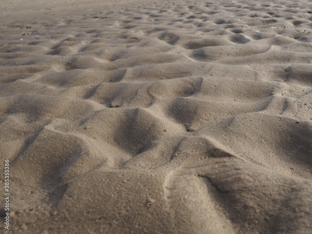 Fototapeta premium Dunes