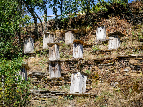 Bee hives in a rural area of Leon