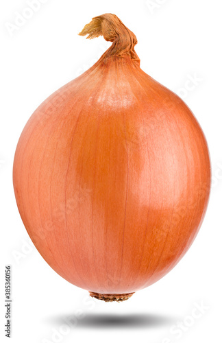 onion isolated on white background. full depth of field. clipping path