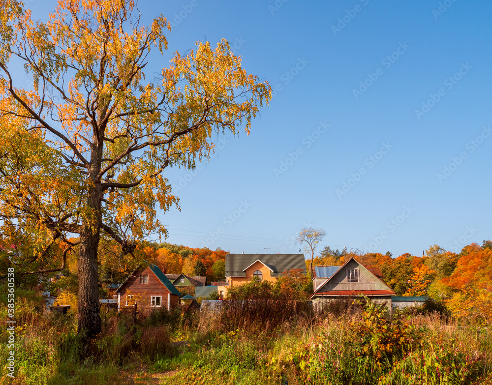Obraz premium The rural hinterland in the fall. A large tree near an old village cottage. Happy country life concept.