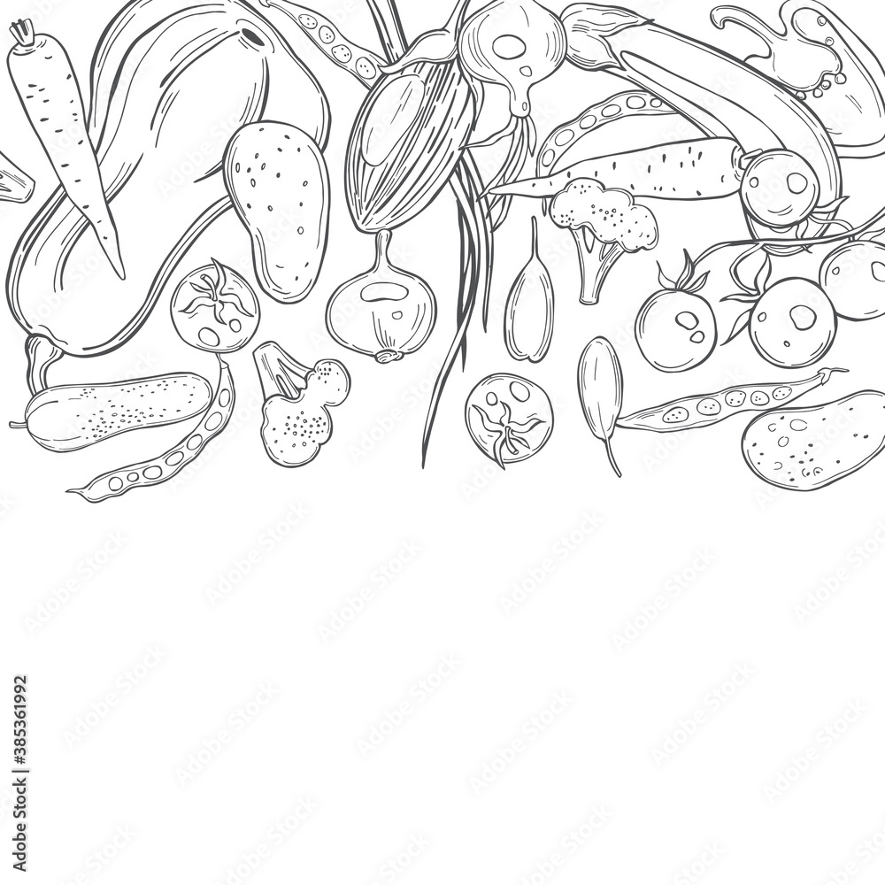 Vector background with   vegetables.