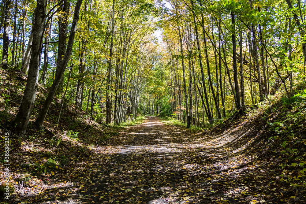 Obraz premium The Virginia Creeper Trail, the most popular bike route in the region. Abingdon, VA, USA