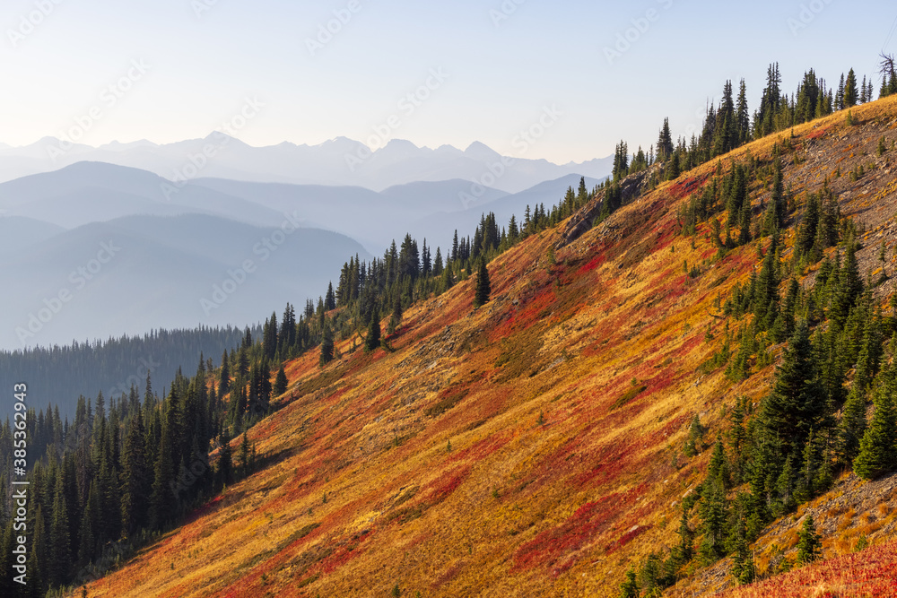 Mountain meadow in early October
