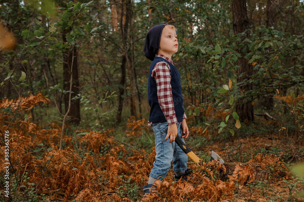 Little boy in the autumn forest. A boy with an ax near a tree. Woodcutter hold ax. Standing in the forest with axe. Little boy in the autumn forest. A boy with an ax near a tree. Woodcutter hold ax. Standing in the forest with axe.