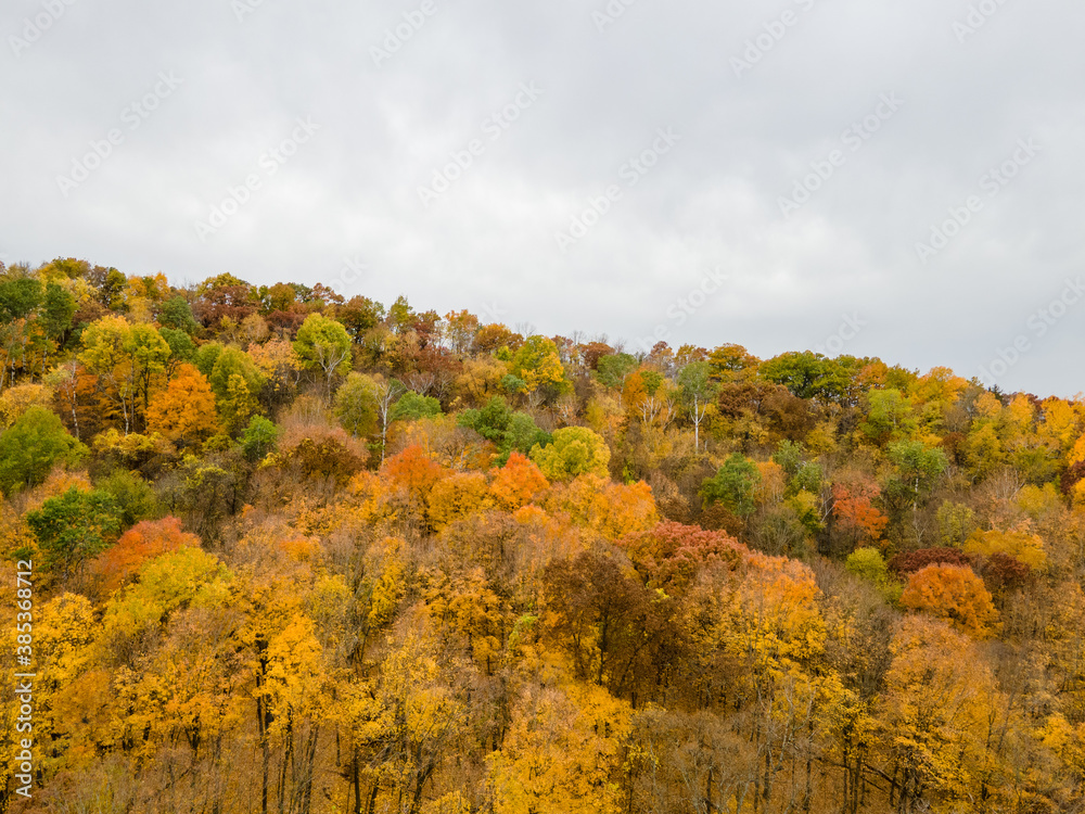 autumn trees in the mountains as they are bright colors with a cloudy gray sky. 