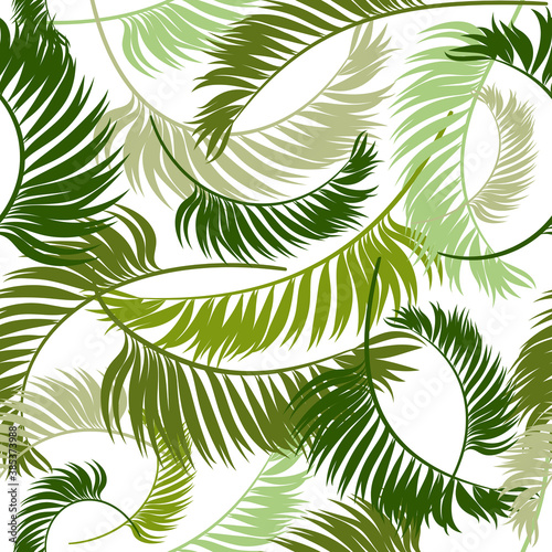 Areca palm sketch by hand drawing.Plam leaf vector pattern on white isolated background. Vector leaves seamless illustration.