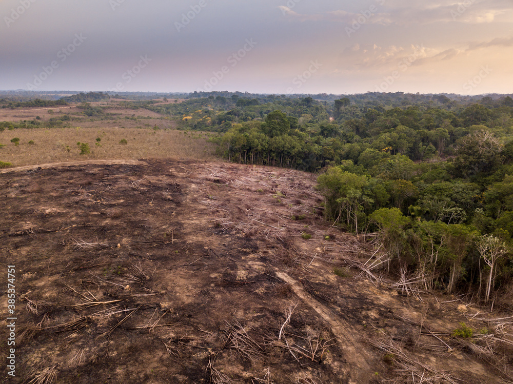 Drone aerial view of deforestation in the amazon rainforest. Trees cut and  burned on illegally to open land for agriculture and livestock in the  Jamanxim National Forest, Para, Brazil. Environment. Stock-Foto