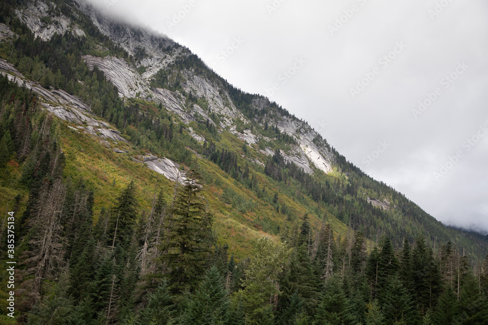 landscape in the mountains