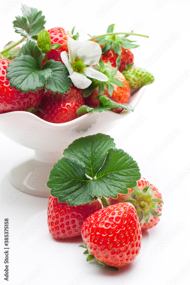 苺と白の花 苺と白の花