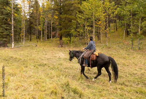 person riding horse in the wilderness