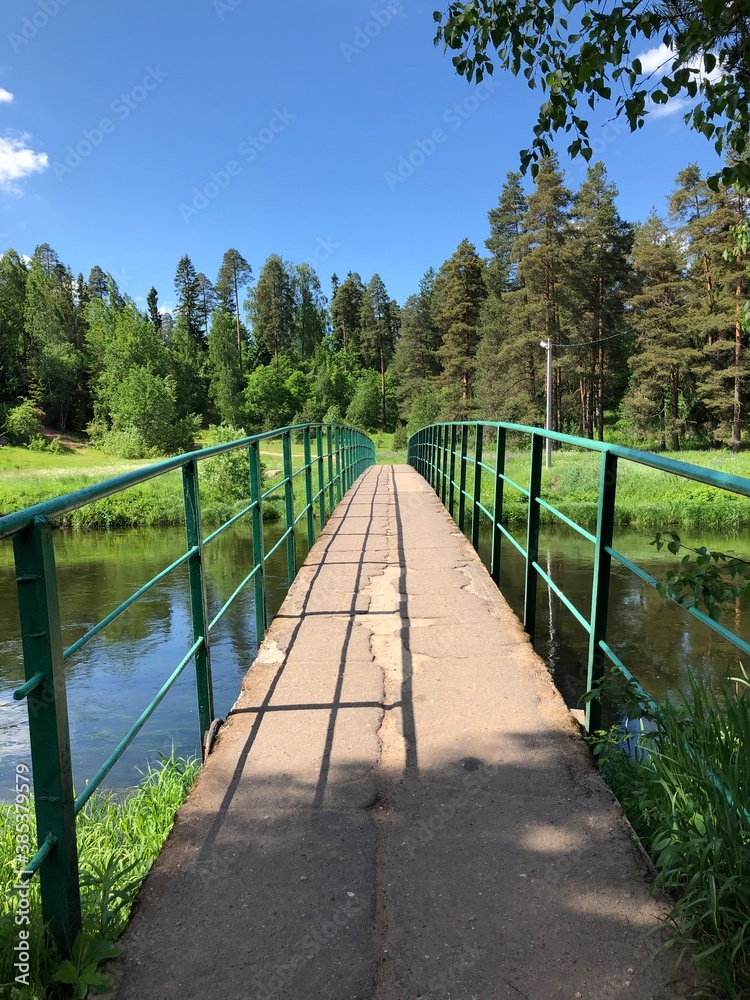 wooden bridge in the park