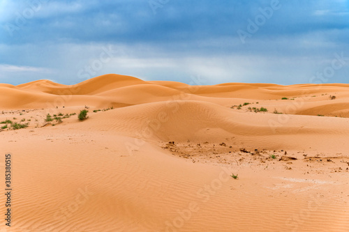 Picturesque desert landscape with dunes and dramatic sky © Yakov