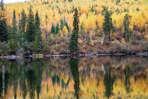 Fall Color at Green Lakes  White River  Thunder Bay Unorganized  Northern Ontario