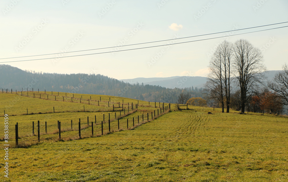 Fototapeta premium polskie góry, Bieszczady