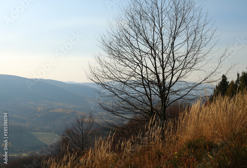 Fototapeta Naklejka Na Ścianę i Meble -  polskie góry, Bieszczady