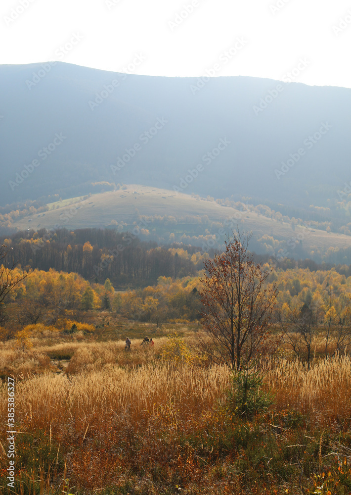 polskie góry, Bieszczady