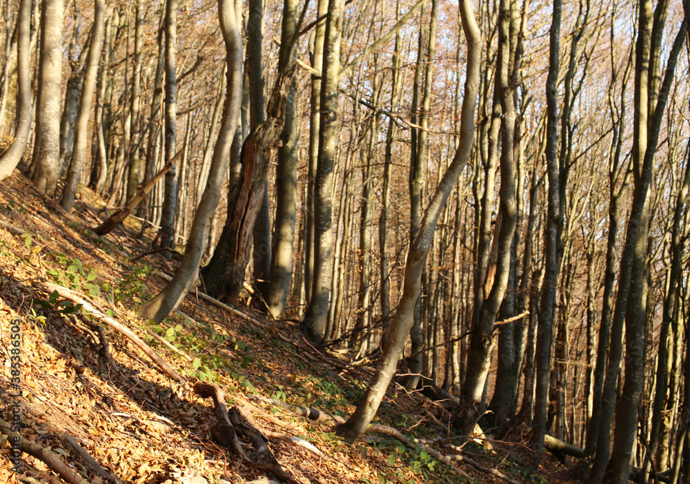polskie góry, Bieszczady