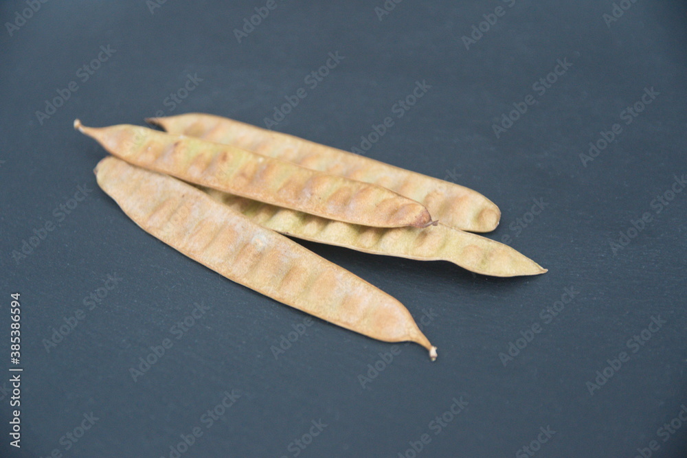 Seeds of julibrissin, pod of Acacia tree, Persian silk tree