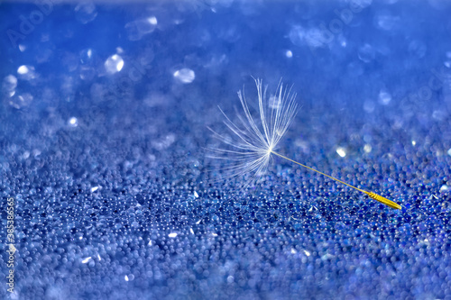 Macrophoto. Beautiful soft abstract background. Dandelion parachute on a blue background with bokeh. Selected sharpness