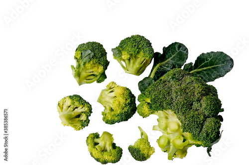 Broccoli. An annual vegetable plant in the Cabbage family. Close-up. White background.